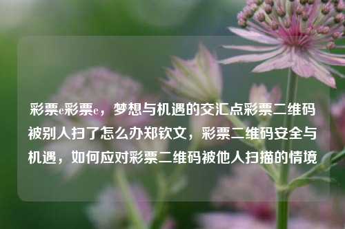 彩票e彩票e，梦想与机遇的交汇点彩票二维码被别人扫了怎么办郑钦文，彩票二维码安全与机遇，如何应对彩票二维码被他人扫描的情境，彩票二维码安全与机遇，如何应对被他人扫描的情境-第1张图片-彩票联盟