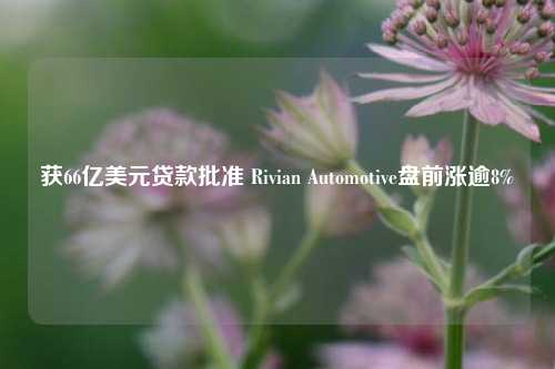 获66亿美元贷款批准 Rivian Automotive盘前涨逾8%-第1张图片-彩票联盟