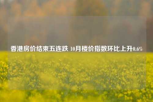 香港房价结束五连跌 10月楼价指数环比上升0.6%-第1张图片-彩票联盟