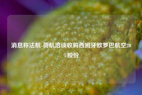 消息称法航-荷航洽谈收购西班牙欧罗巴航空20%股份-第1张图片-彩票联盟