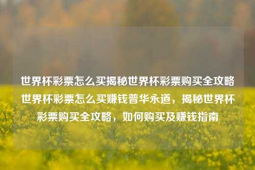 世界杯彩票怎么买揭秘世界杯彩票购买全攻略世界杯彩票怎么买赚钱普华永道，揭秘世界杯彩票购买全攻略，如何购买及赚钱指南，揭秘世界杯彩票购买全攻略，如何购买及赚钱指南-第1张图片-彩票联盟