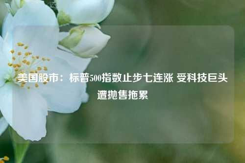 美国股市：标普500指数止步七连涨 受科技巨头遭抛售拖累-第1张图片-彩票联盟