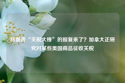 特朗普“关税大棒”的报复来了？加拿大正研究对某些美国商品征收关税-第1张图片-彩票联盟