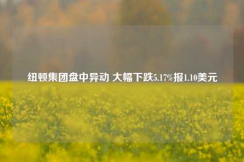 纽顿集团盘中异动 大幅下跌5.17%报1.10美元-第1张图片-彩票联盟