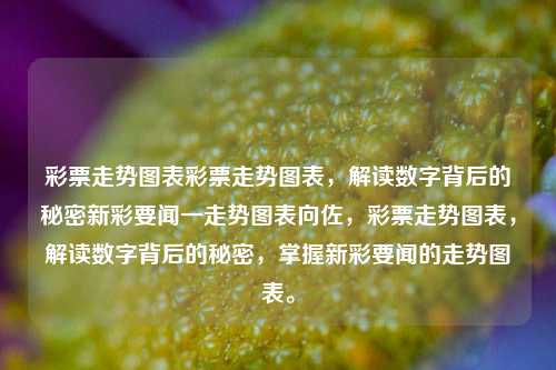 彩票走势图表彩票走势图表，解读数字背后的秘密新彩要闻一走势图表向佐，彩票走势图表，解读数字背后的秘密，掌握新彩要闻的走势图表。，彩票数字背后的秘密，解读走势图表掌握新彩要闻-第1张图片-彩票联盟