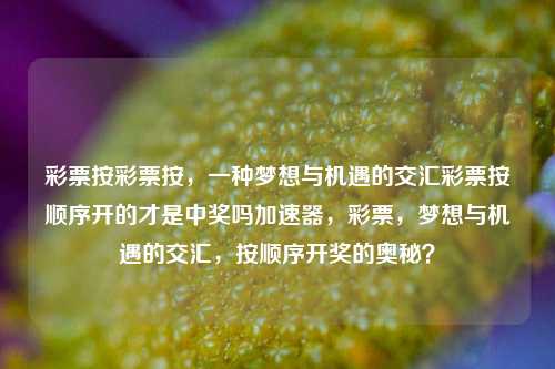 彩票按彩票按，一种梦想与机遇的交汇彩票按顺序开的才是中奖吗加速器，彩票，梦想与机遇的交汇，按顺序开奖的奥秘？，彩票按顺序开奖的奥秘，梦想与机遇的交汇。-第1张图片-彩票联盟