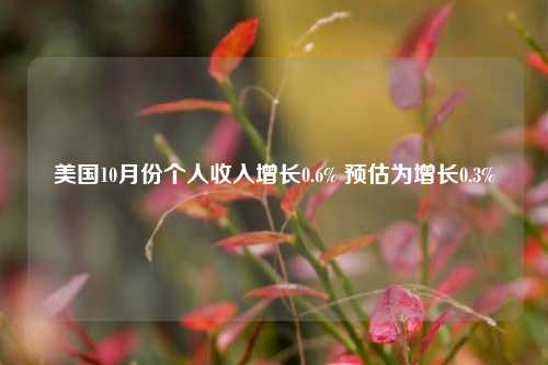 美国10月份个人收入增长0.6% 预估为增长0.3%-第1张图片-彩票联盟