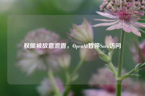 权限被故意泄露，OpenAI暂停Sora访问-第1张图片-彩票联盟