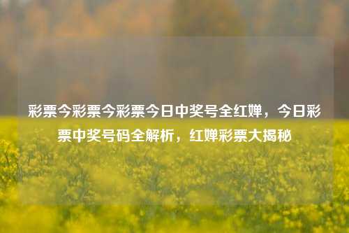 彩票今彩票今彩票今日中奖号全红婵，今日彩票中奖号码全解析，红婵彩票大揭秘，全红婵彩票今日中奖号码大揭秘与全解析-第1张图片-彩票联盟