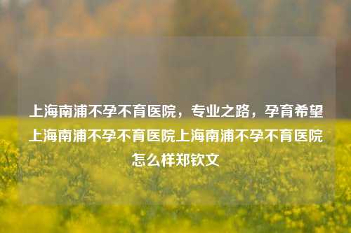 上海南浦不孕不育医院，专业之路，孕育希望上海南浦不孕不育医院上海南浦不孕不育医院怎么样郑钦文-第1张图片-济南青华不孕不育医院